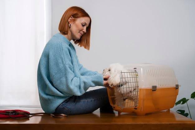 Dog Boarding