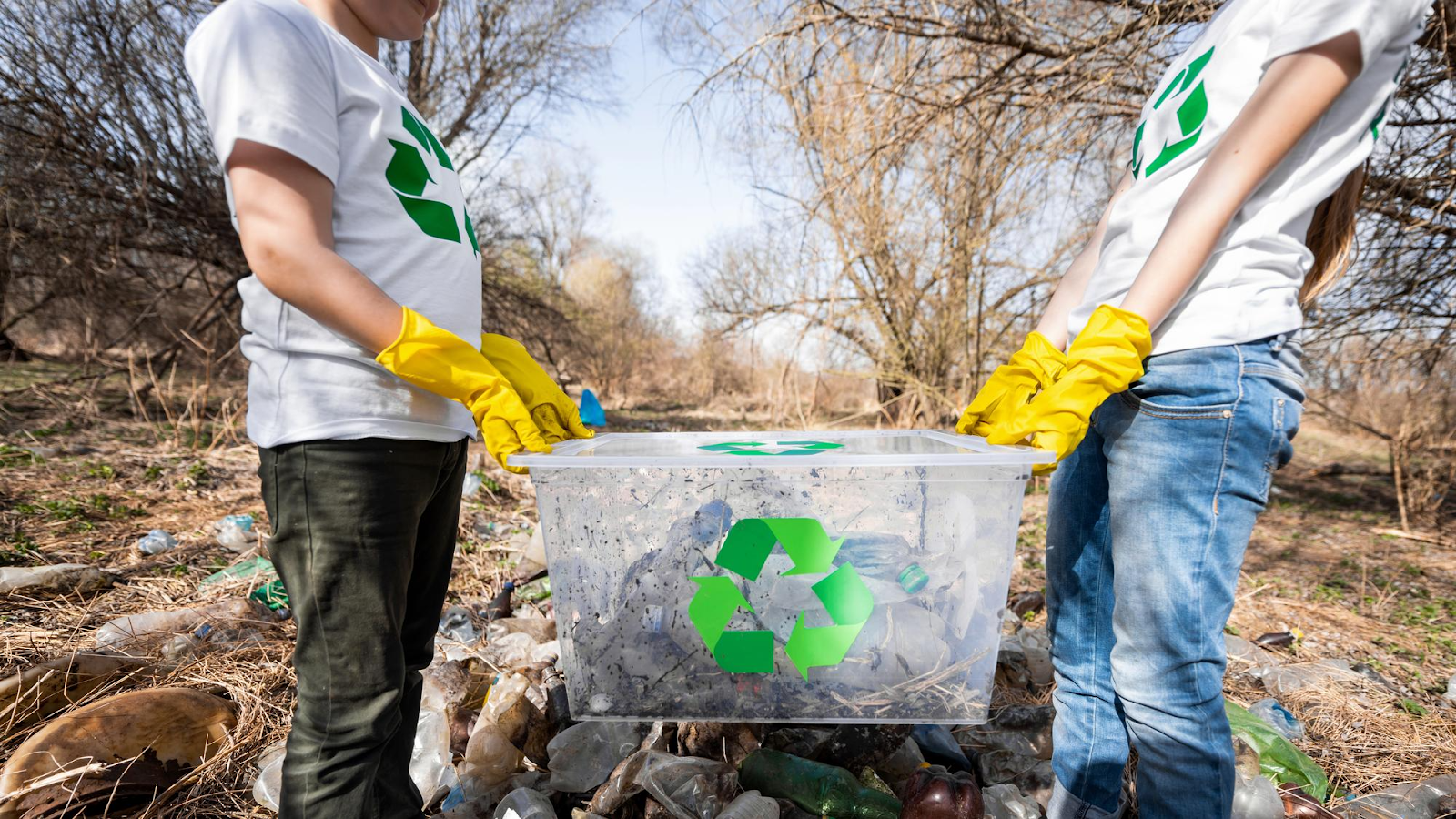 Waste Management Services